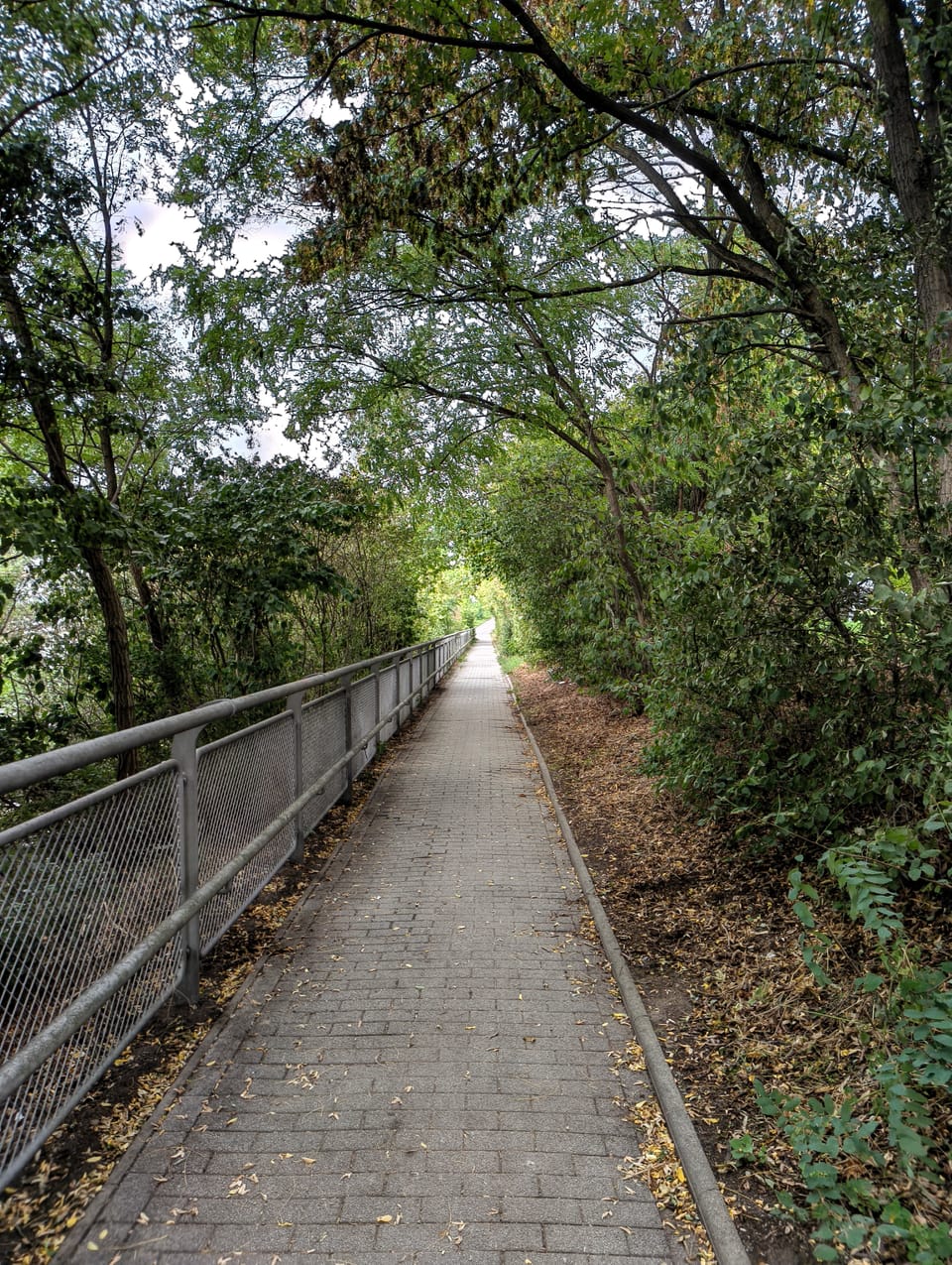 Eine lange gepflasterte Rampe mit Geländer auf der linken Seite. Auf beiden Seite Büsche und Bäume.